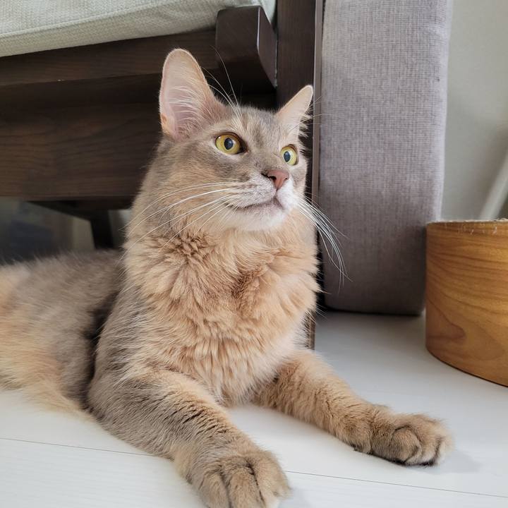 B9f654b1 f71e 4d0c b925 4336537d0f43 1696384493055