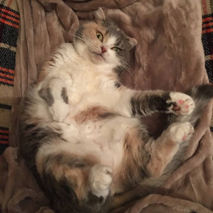 B9f65efc 36b6 4498 a049 9ccce6a59316 1574157520595