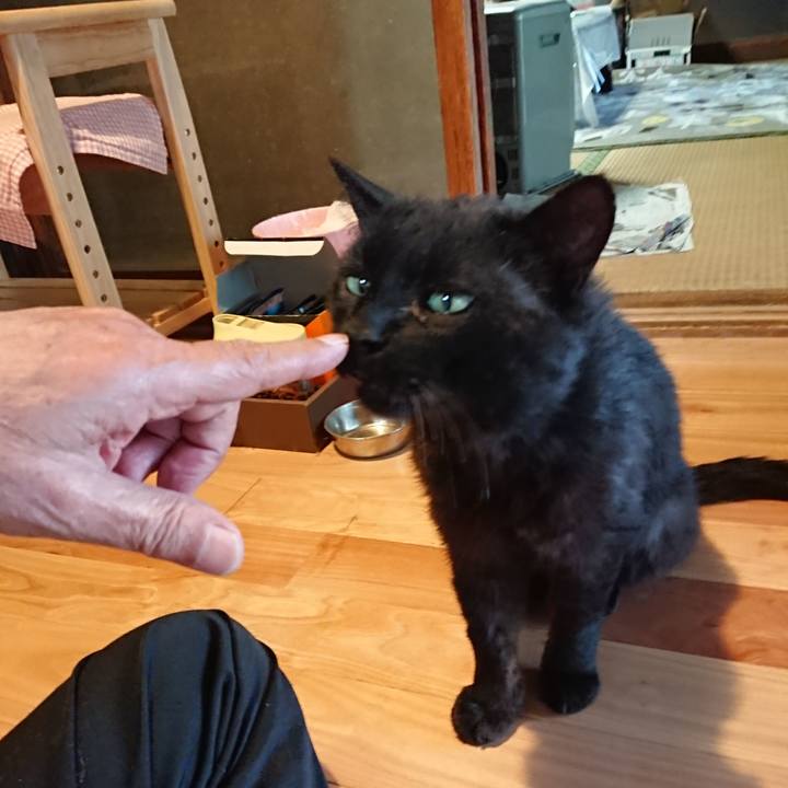 B9f68e3c e755 4cb3 aa7e 700fa46f54a6 1623319803032