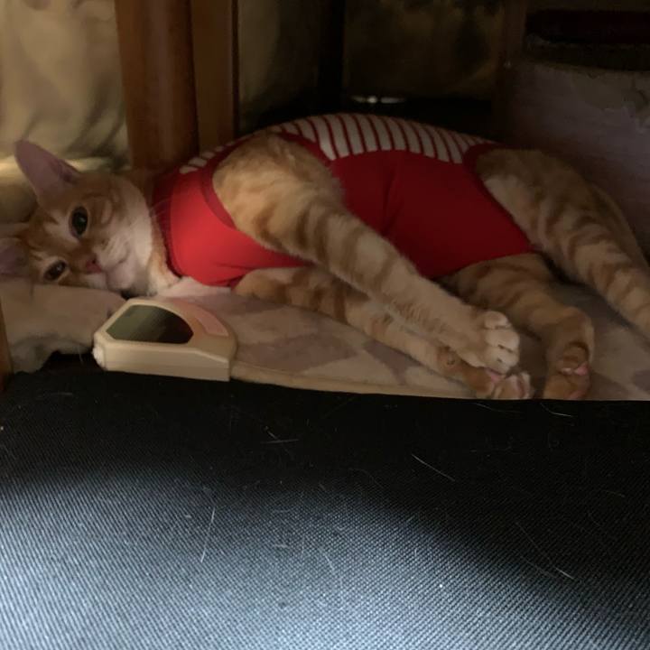 B9f6b67c b153 4ca0 b75d c02ba381c35c 1579089792069