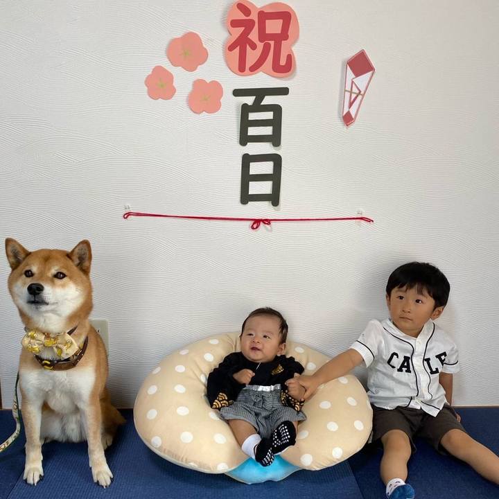 B9f6e926 43e8 4d9c 9443 8902b9ba0089 1622284930866