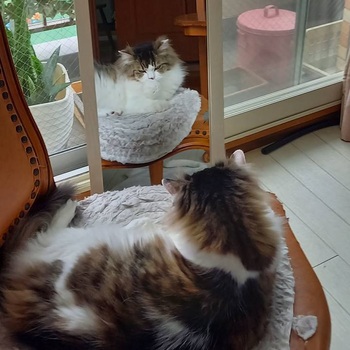 B9f6f9ea 4f73 4b99 ad4b fe270944db77 1621808341341