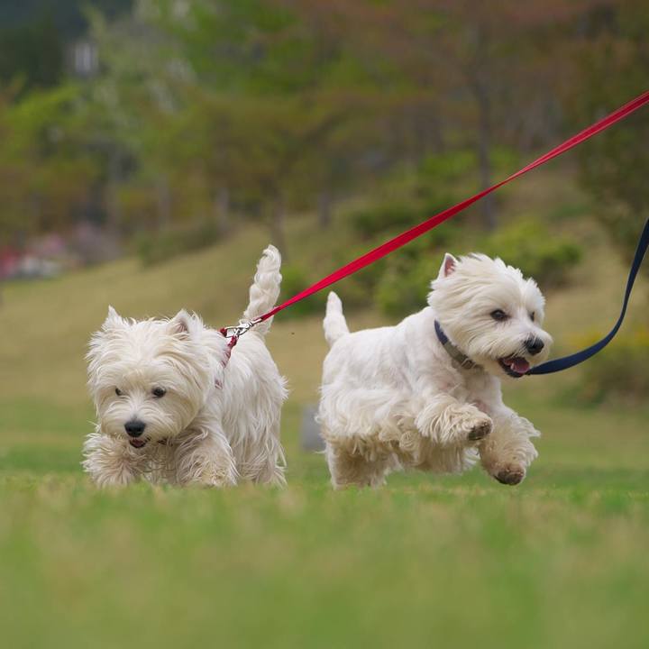 B9f71a81 971c 47d2 8517 4ed67ae915f2 1523232191904