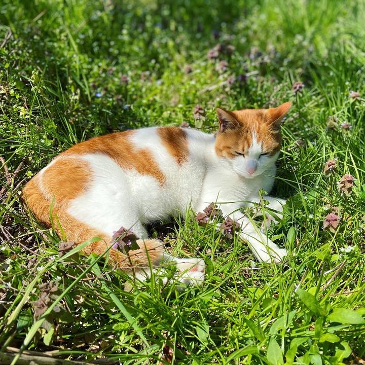 B9f736ff 78d0 4064 8d8d 5fba615788f6 1649489809165