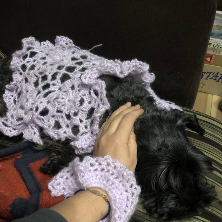 B9f74a88 a713 4275 8bcc dcb658f86e24 1517046359178