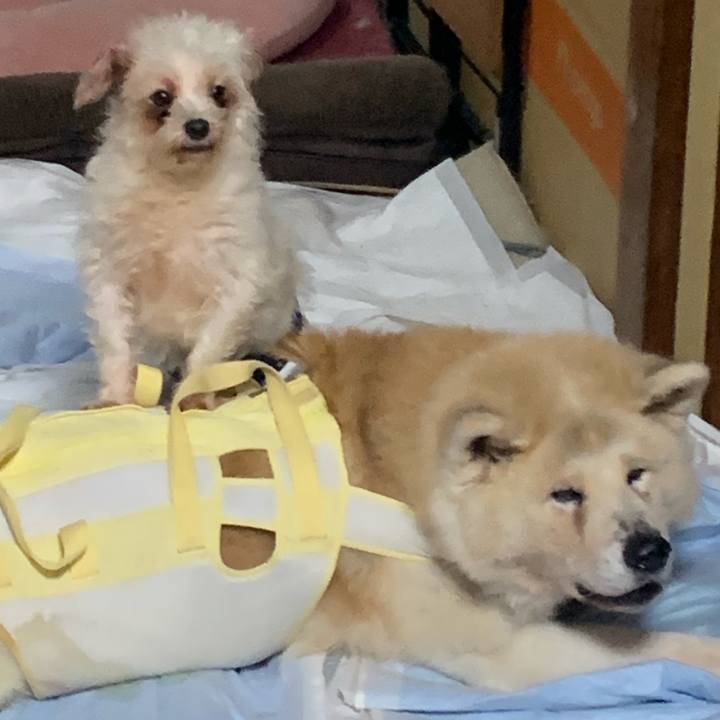 B9f775bc f4f7 4acc 9279 4264be434c78 1684544165773