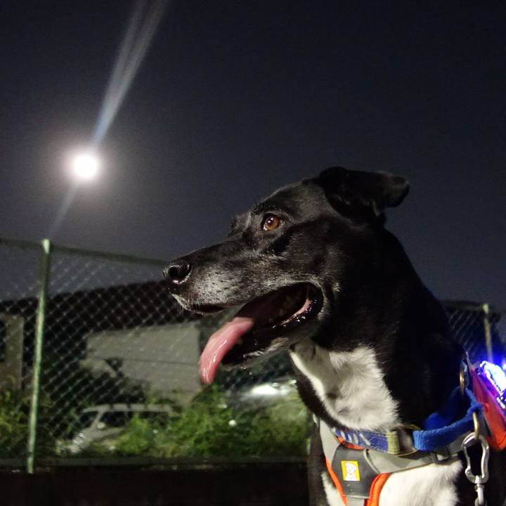 B9f7af14 de4a 4d34 85d1 7f663b91775d 1726571623669