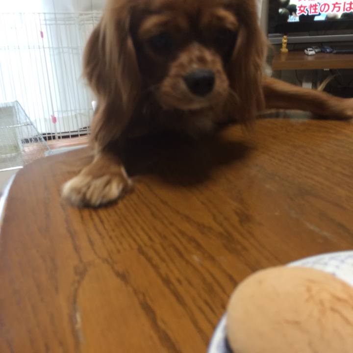 B9f7bceb 8183 4e86 8578 125cd90f38c5 1522966804774