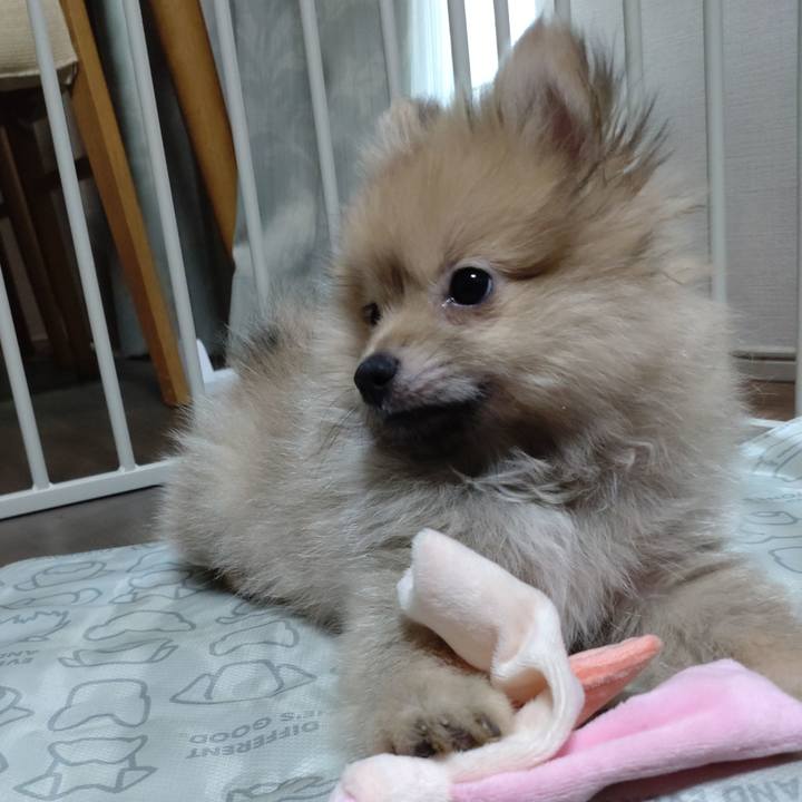 B9f7cc01 379a 4c0c a9a4 0d3af88a7bc4 1742649283749