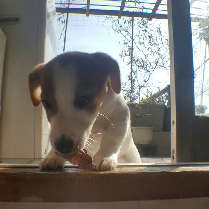 B9f7d843 5d34 4293 9984 6639d2c36d09 1550302855703