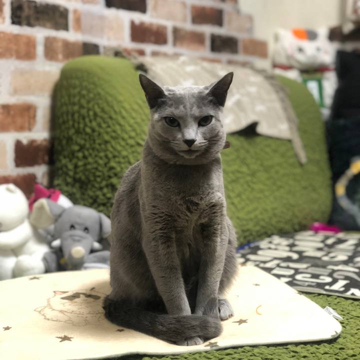 B9f81a06 b38f 436b baff f0a3b8570242 1544446693031