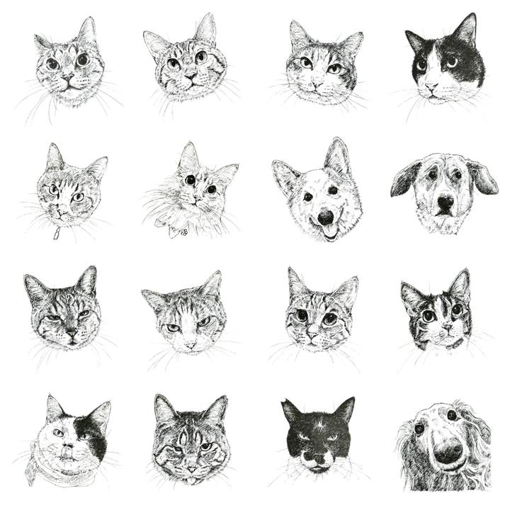 B9f8249a ed66 4763 a576 7d55bb31234d 1633359163151