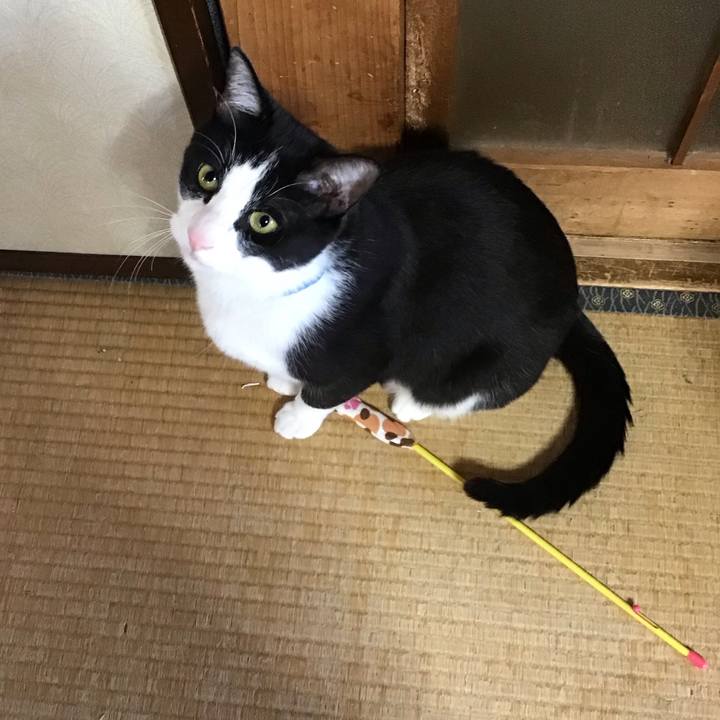 B9f8ccfc 5130 4dce a15f a9234ff87678 1683195527665