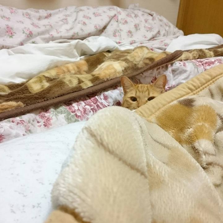 B9f8ee78 02f1 4709 a0f1 8f9fcef87a31 1555146116982