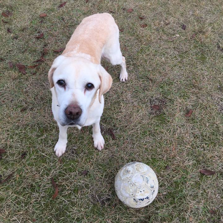 B9f97310 d0e2 4d18 99a8 6336a8e9a469 1542784053605