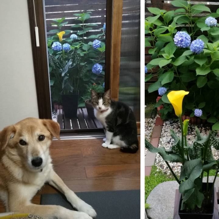 B9f984b6 11e0 4008 a697 661d26ec73ac 1528450761482