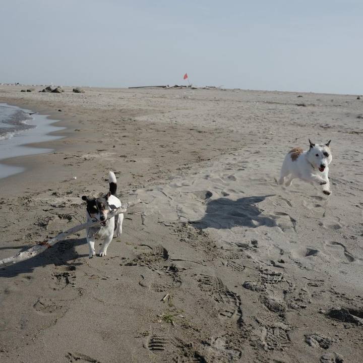 B9f99db6 75b4 4c95 af0c c836e6434bd0 1619067066781