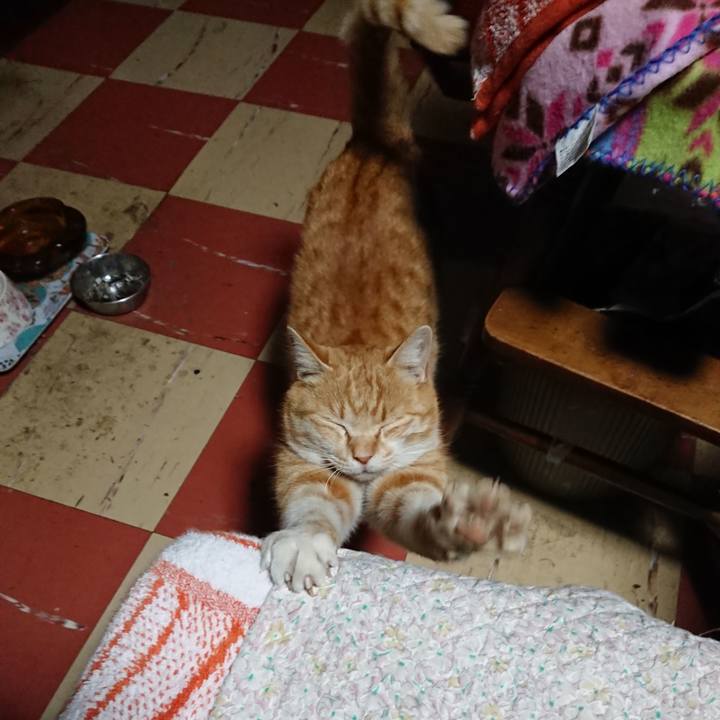 B9f9ccda a288 4d3b 8da8 a8c61ffc83d2 1585166198354