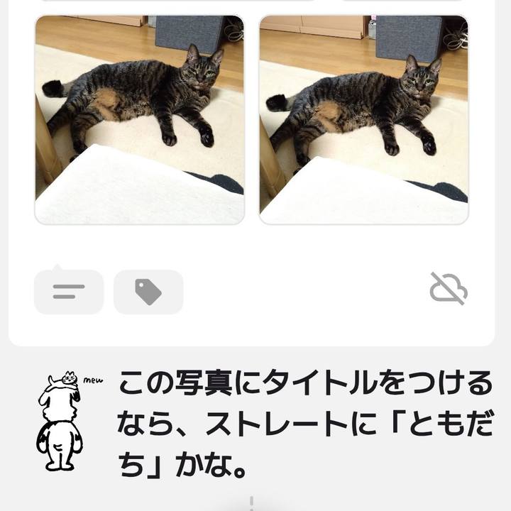 B9f9e7fc 9205 4c39 a9ad 9b719815114d 1764421661376