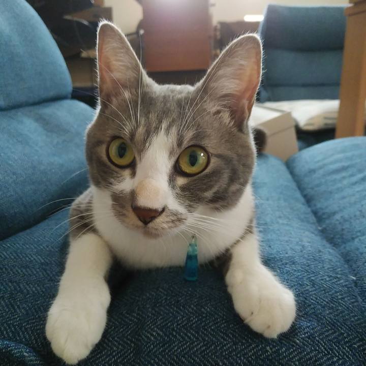 B9fa263e ab3e 41bc bc7e 5275926aa93f 1594423923388