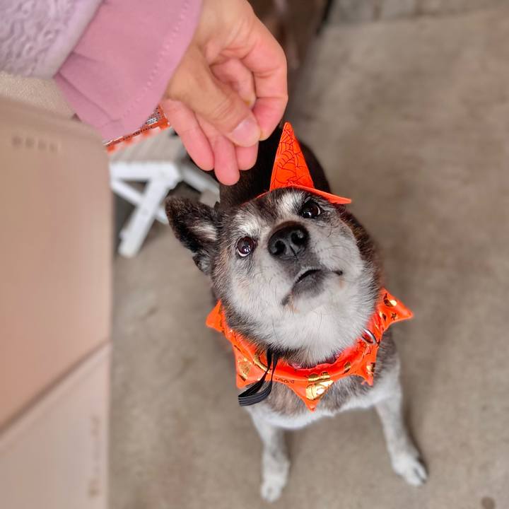 B9fa2fdf d1c7 48f5 9716 549f174a618d 1730253143466