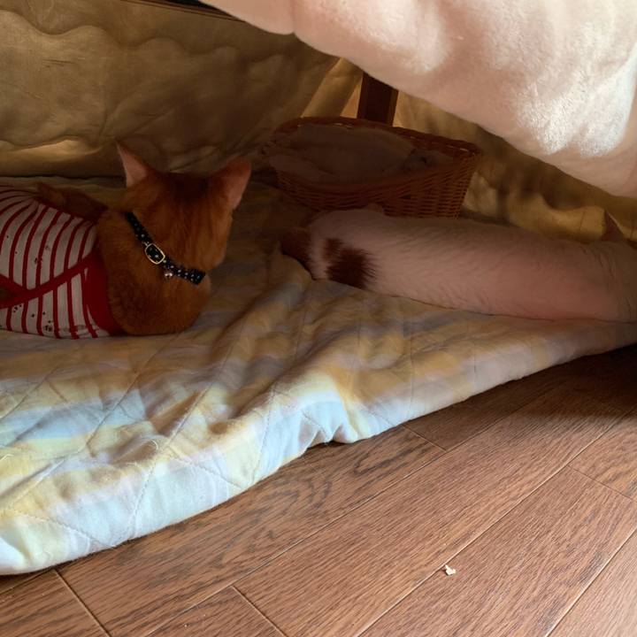 B9fa9212 c8e2 4f67 b24c b02f3b18d961 1602917875419