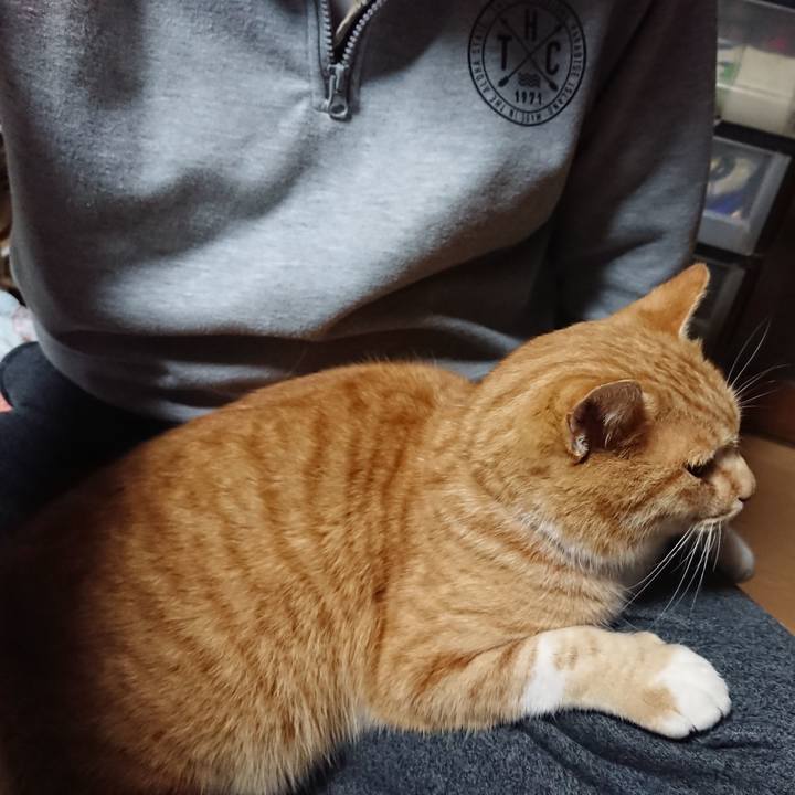 B9fae6a9 db09 4a26 8cad 0474cabd6e4f 1607371268208