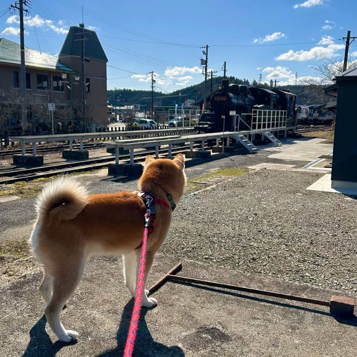 B9faf83d 9c61 44e9 9422 10e23a184326 1706345651647