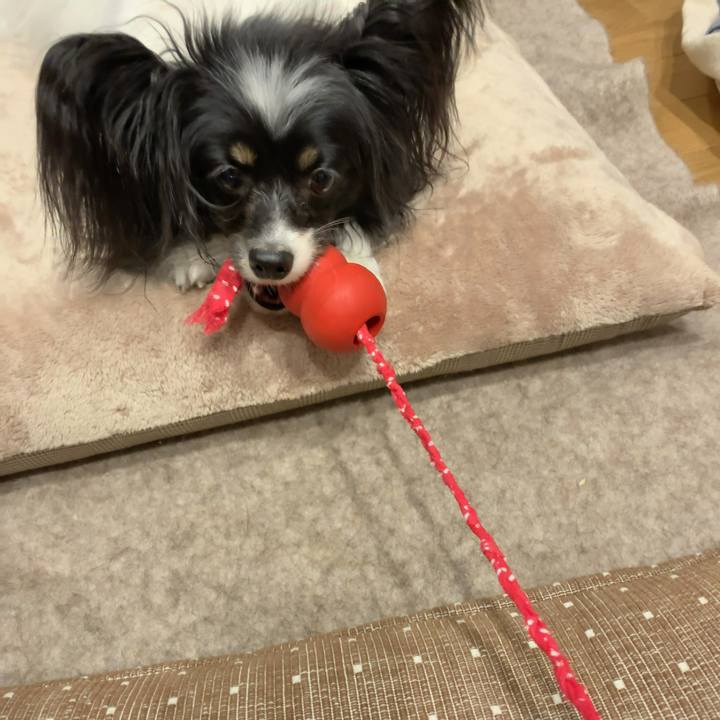 B9fb125d 31a7 4daa a0e9 cc74b4a467e4 1553253568652