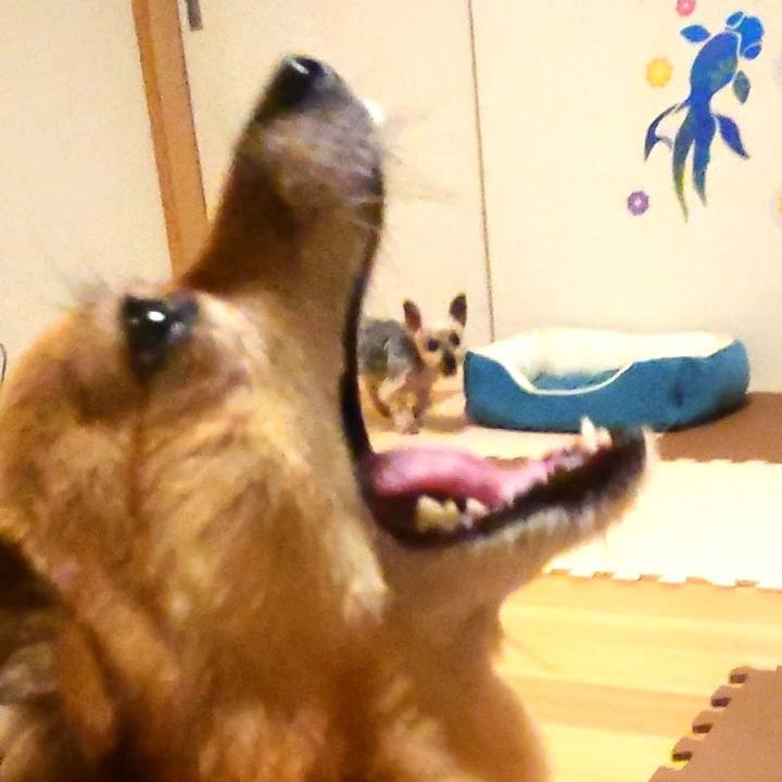 B9fb1a78 8ec0 44aa a8fc 8865edf4398e 1629119258774