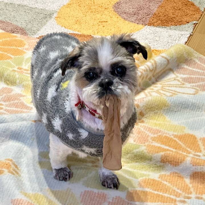 B9fb1fff dcf1 4492 9b1d 50171d331637 1682158964166