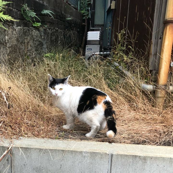 B9fb2576 b6ef 4a32 aa06 f767010a27f4 1603883613837