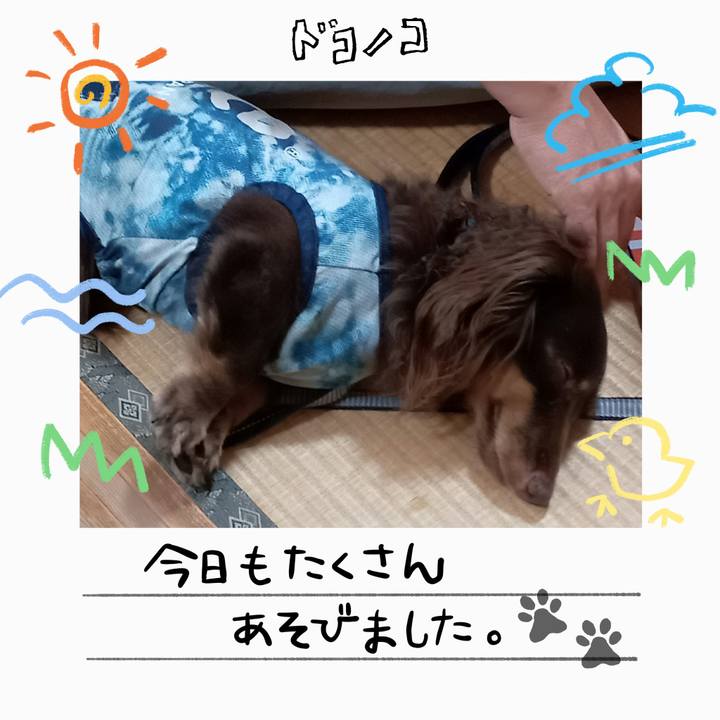 B9fbd23d a4bb 4a65 b36c 1e298968d3ce 1755121145637