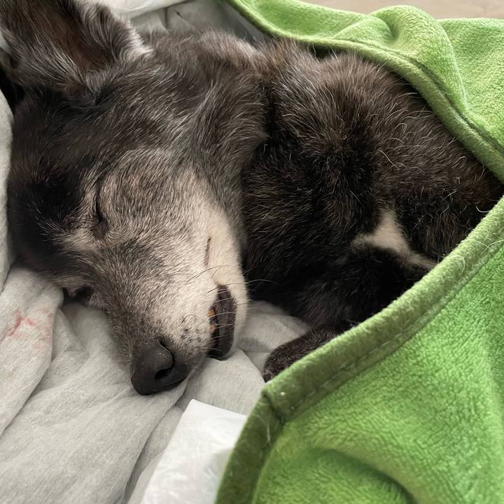 B9fc270d 582f 4c0e ae19 7e07069148a6 1679197261670