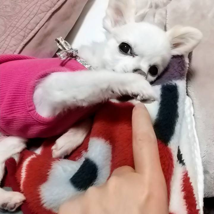 B9fc3bb8 f5ab 468a 8ffa d26241fbc7ca 1574591932429