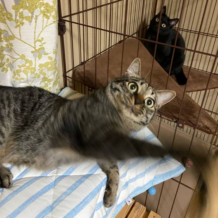 B9fc515a baf2 4083 9dd8 a3c1b88cf83e 1653309959946