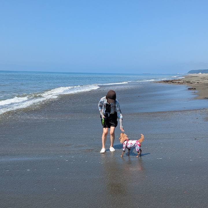 B9fc8778 a8f4 4679 9066 41bd55494f26 1754956358325