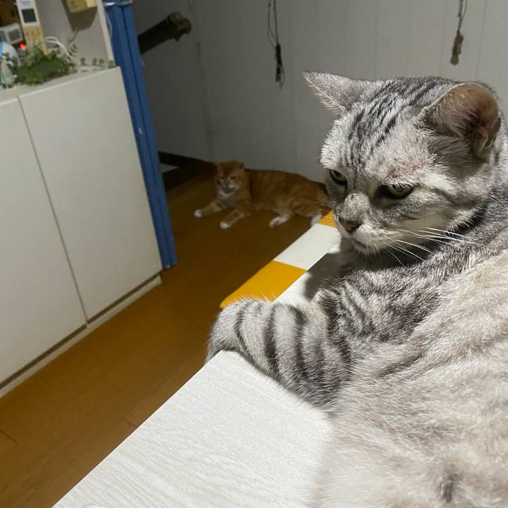 B9fc900d cff7 4356 b8d3 a145d52c6c70 1758059735626