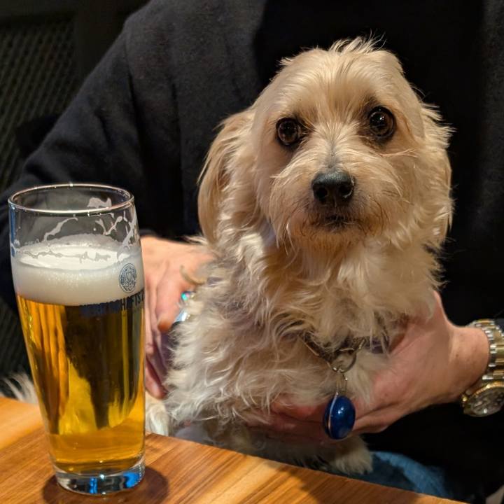 B9fcab52 c963 41ce 9452 7a35a2709309 1766770182838