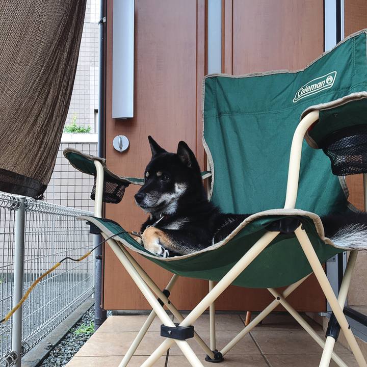 B9fcb9d3 70a7 4e60 8048 15e3fec47a86 1537517164832