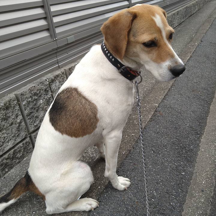 B9fccf77 71e6 47c7 b5bd 145a0149e6af 1623475803804