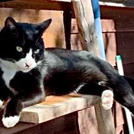 B9fcdda8 ac79 4149 93ea 940beb67cc23 1761186750216