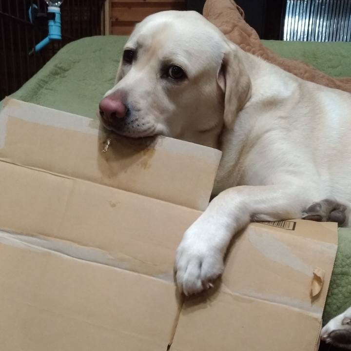 B9fd040e 31f5 4f7d b7ba 7d8cc3fe337e 1544116181381