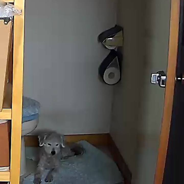 B9fd1317 9966 4ab5 a471 9f93076f2324 1591240883990