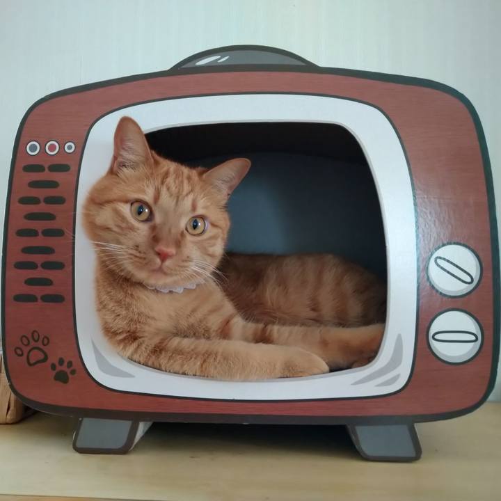 B9fd3319 0d86 497c b3f3 119a7c10e889 1627103365134