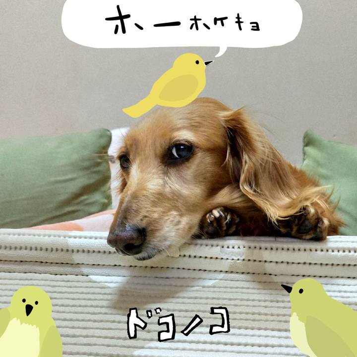 B9fd37ab bc50 4e64 9838 b4cc08187e46 1711430245080