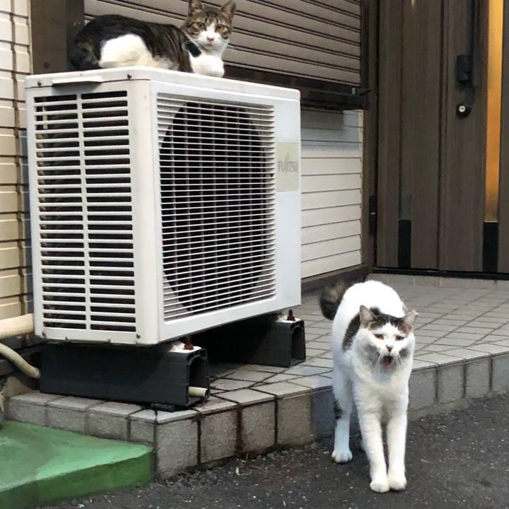 B9fd40e1 e42b 44a6 8c9f 83b0bd3e1576 1536239587870