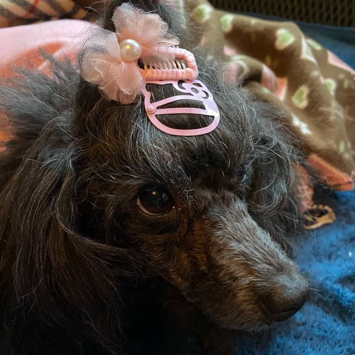 B9fd41c0 8188 461c 8f2b a5a62c1fb2db 1677799677647