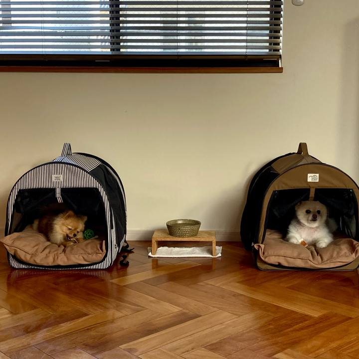 B9fda574 2ea0 4442 820c 1d2fcaaac5f2 1662444282474