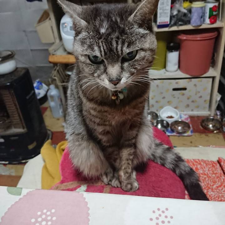 B9fdc7a5 cb74 496a 9534 9be8a4c88567 1557779257330